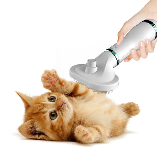 Pet Comb Hair Dryer